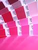 #party Decoration# Manufacture Direct 10 Inch 2.3 Gram Best Quality Rose Balloons