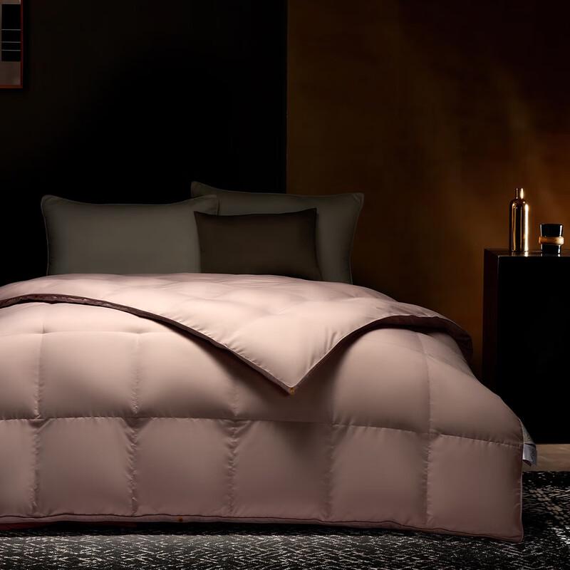 

Mercury Home Textiles Kerr Goose Down Quilt