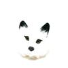 Raccoon Magic Trick Fox White Face Spring Pet Maggie Magic Trick Cute Animal Raccoon Plush Toy Lucky-kun
