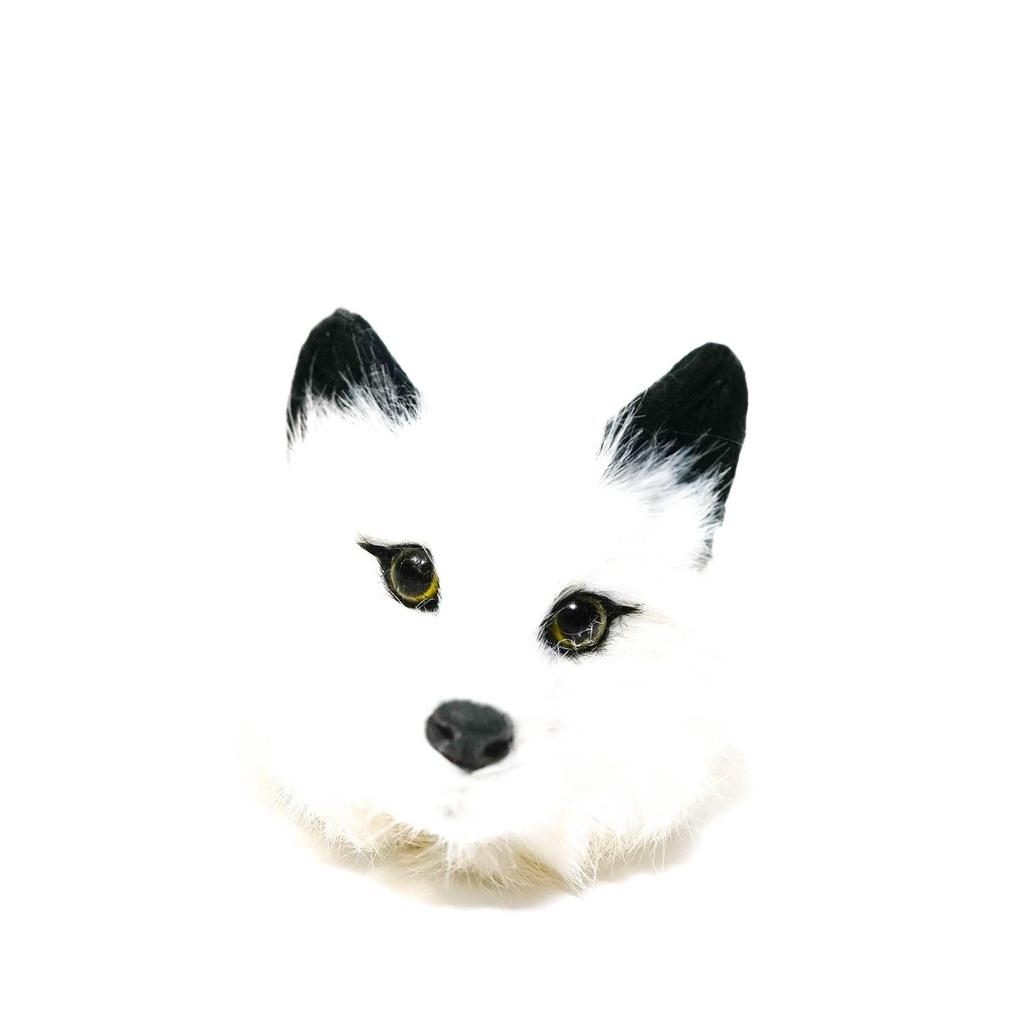 Raccoon Magic Trick Fox White Face Spring Pet Maggie Magic Trick Cute Animal Raccoon Plush Toy Lucky-kun