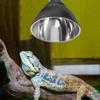 Black Pet Light Bulb Bracket 300W E27 Lampshade Emission Lamps UVB Reptile Lamp  Amphibians