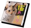 Cat Calendar 2026 Daily Calendar CK-C26-01