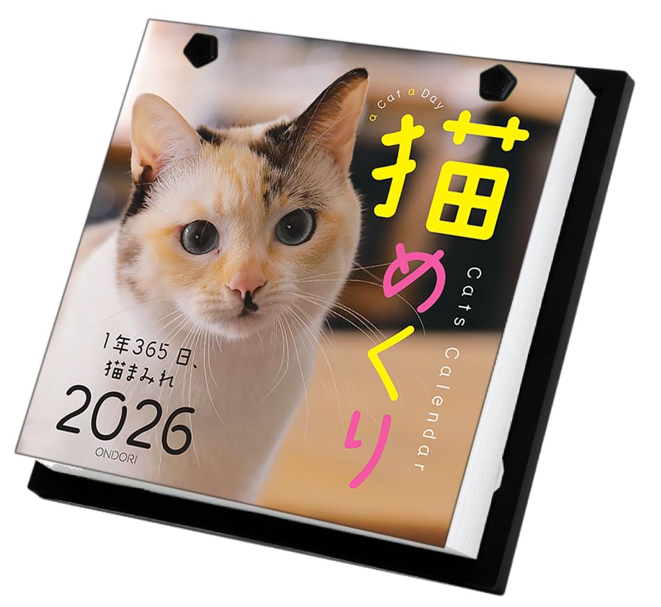 Cat Calendar 2026 Daily Calendar CK-C26-01