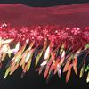 1 Yard Sequins Lace Sewing Garments Accessories DIY Fringe Mesh Tassel Embroidered Ribbon Sewing Craft for Dance Party