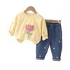 2024 Boys & Girls Street Style Sportswear: Spring/Autumn Sweatshirt Two-Piece Set