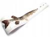 Sticker with Measurement - Pike
