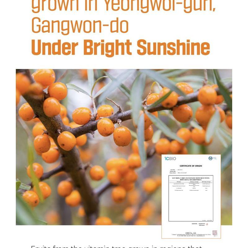 ROUND LAB Vita Niasinamid Leke Giderici Serum