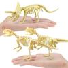 7Pcs/Set  Dinosaur Model Creative Collectible Detailed Archeological Dinosaur Skeleton Toy for Child