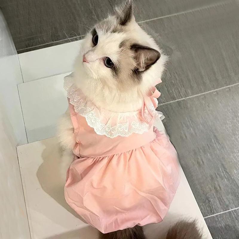 Sommer Prinzessin Stil Anti-Haarverlust Kleid für Katzen und kleine Hunde