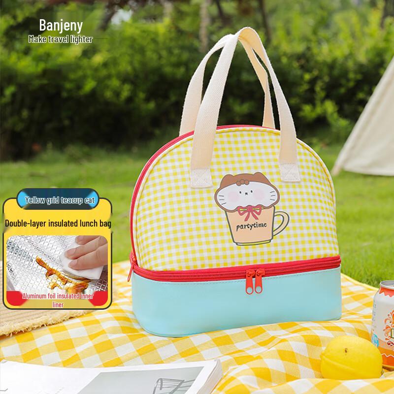 Portable Insulated Lunch Bag