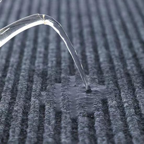 Floor Mat Anti-Slip Design Ultra-Thin Profile Door Mat Moisture-absorbing Entry Rug Sand-proof Entrance Mat