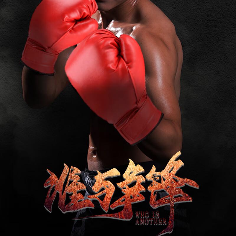 Wall Boxing Target and Adult Gloves Set