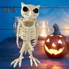 Halloween Skeleton Owl Decoration Realistic 12" Skeleton Animal Figure Plastic Owl Bone Model for Haunted House Party Decor