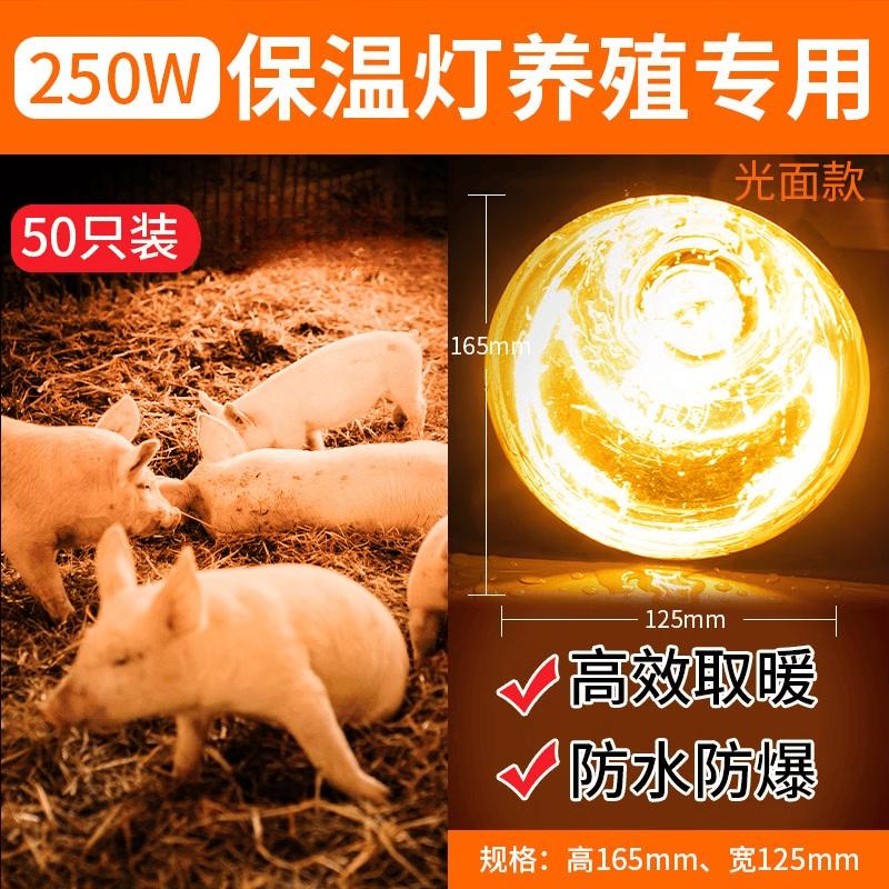 250W Aluminum Head Livestock Heat Lamp