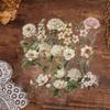 50 Retro Long Branch Flower Transparent PET Stickers - Double-Sided, Waterproof Decals for Journals, Phone Cases, and Computers. 50 Sheets.