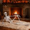 Reusable Halloween Decoration 3ft Life Size Skeleton, Full Body Posable Plastic Skeleton Prop, Realistic Model Human Bones for Yard Patio Lawn Garden