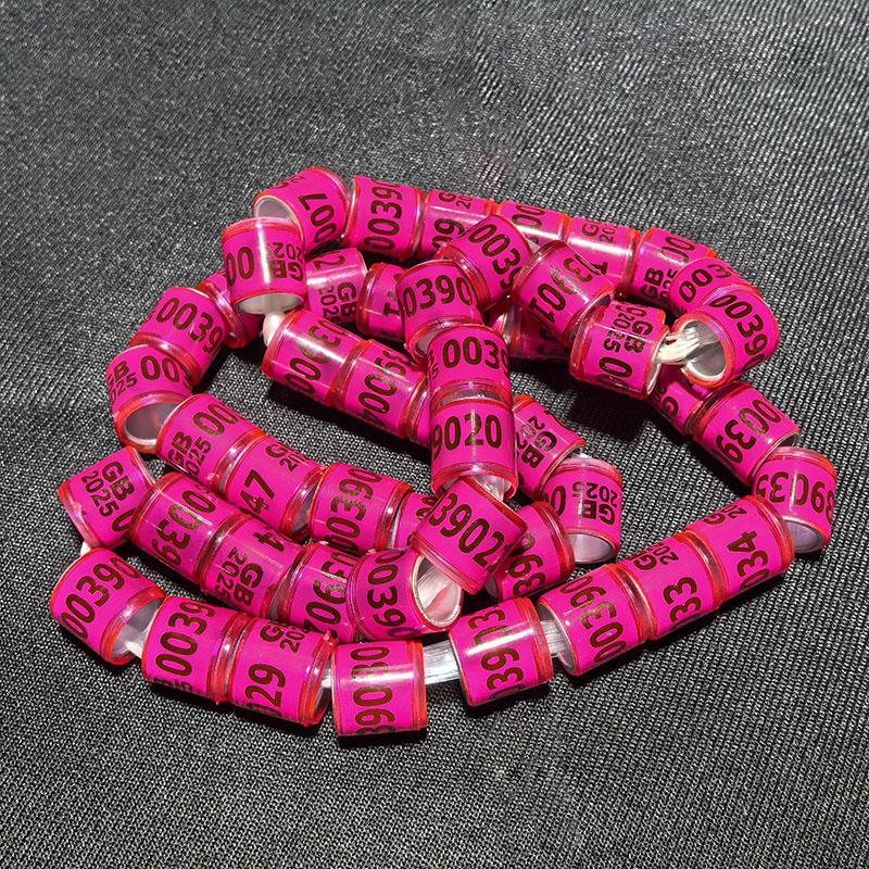100 Pcs 2025 Aluminum Plastic Pigeon Foot Ring With Number Letter Bird Leg Sign Rings Fly Race Identification Circle Pilgrims