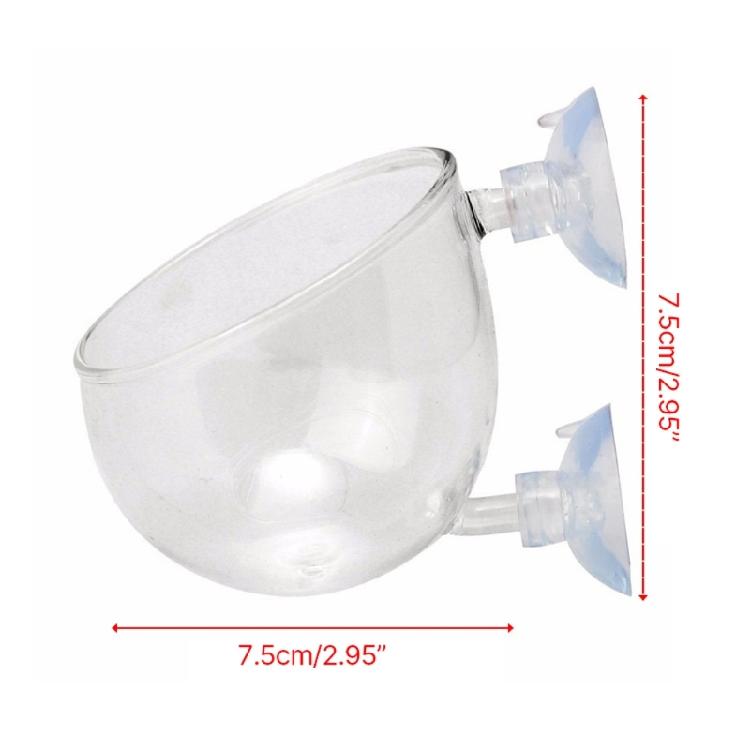 Clear Glass Plant Cups with Suction Cups Aquariums Landscaping