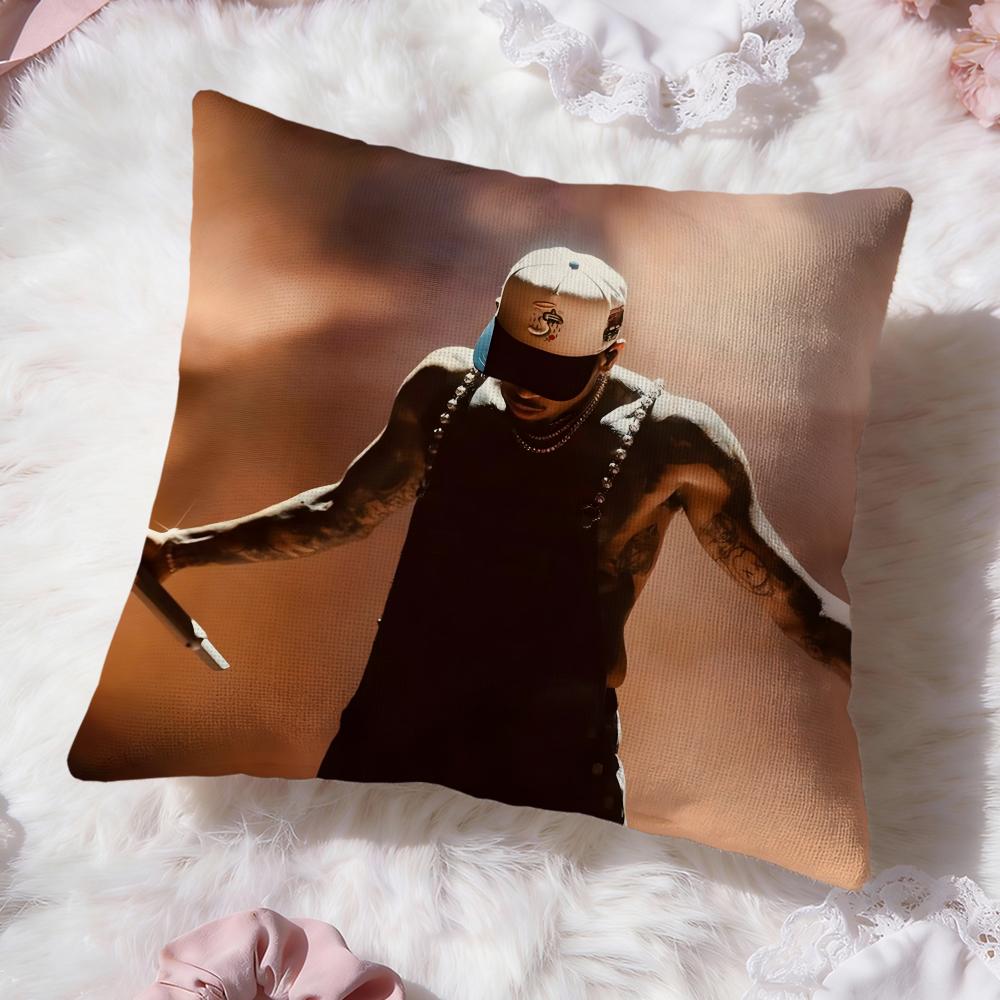 Hot C-Chris Brown Cushion Cover Premium Comfort Reversible Pillow Cove -Two in One Design for Any Room & Car Interior