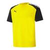 Puma Mens TeamPACER Colour Block T-Shirt