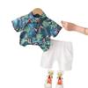 2026 Summer Southeast Asian Resort Boys' Leaf-Print Lapel Shirt & White Shorts Set