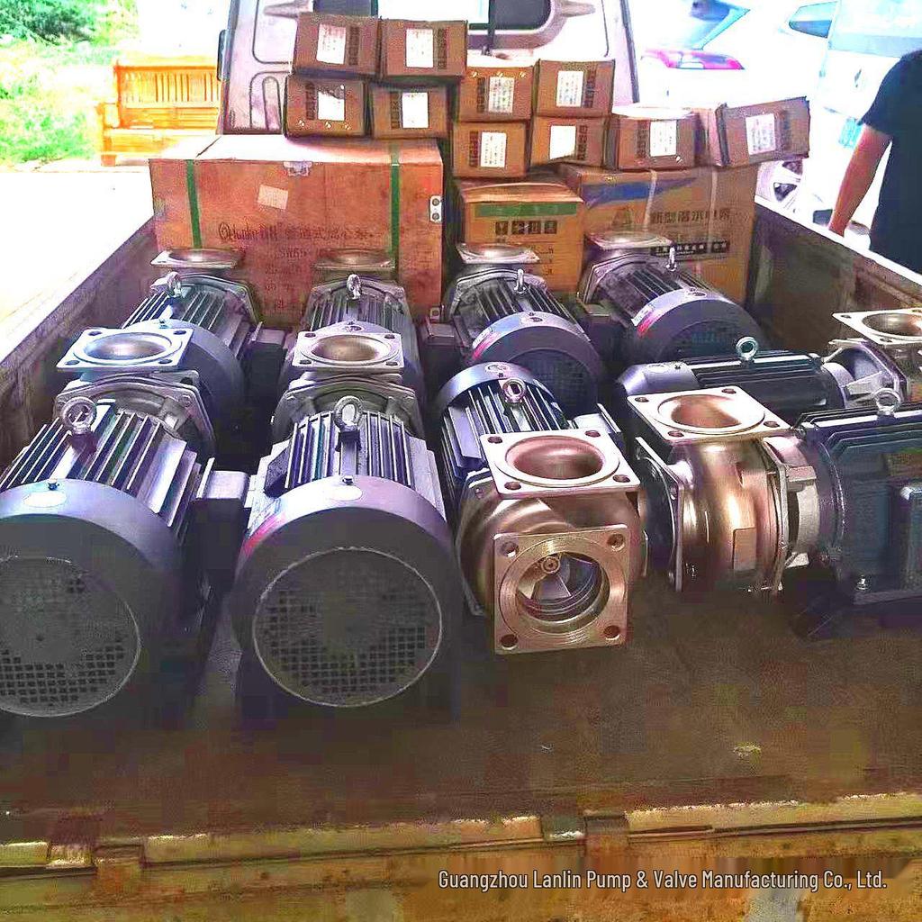 6-Inch High Flow Stainless Steel Seawater Pump for Aquaculture and Irrigation