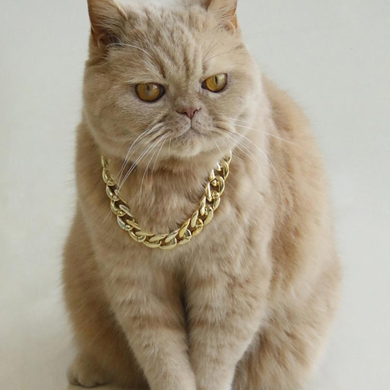Cool Gold Chain Collar for Dog Cats Fashion Necklace Pet Jewelry For Outdoor Activity Formal Occasion Costume Props