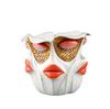 Abstract Red Lips Face Flower Pot: Resin Ornament for Courtyard, Balcony, or Garden Bonsai.