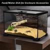 6pack Plastic Feeding Dishes for Small Pet Such As Spiders and Hermits Crabs with Simple Maintenance and Safe