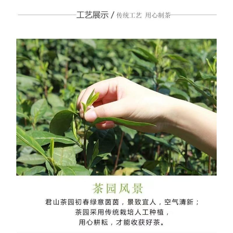 Чай Spring Hunan Specialty Чай Junshan Wang Mingqian Зеленый чай Maojian 250г пакетик — фото 8