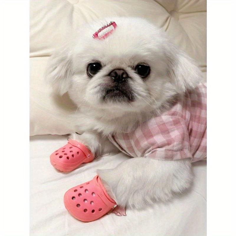 2pcs/1pair Mini Porous Shoes Classic Design Cats And Dogs Pet Photography Accessories Cute And Fun Toys For Small Pets Puppy Shoes Cartoon