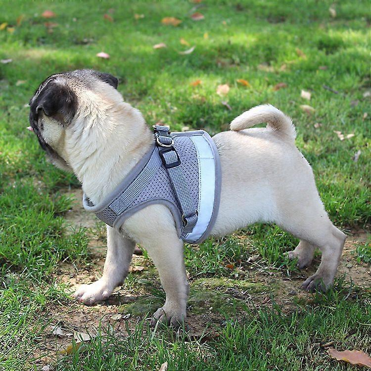 Cat Harness, Cat Harness Anti-Escape,grey