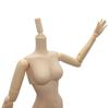 Obitsu Doll 27cm Obitsu Body Female SBH Bust Size S White Soft Vinyl Articulated Figure