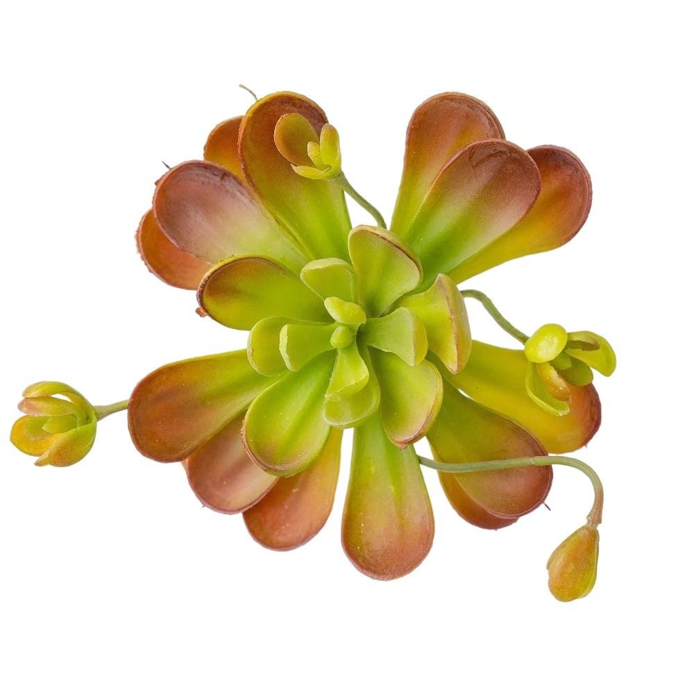 Lifelike Artificial Succulent Plant Real Touch Simulation Bonsai Plant  Home Office Decor
