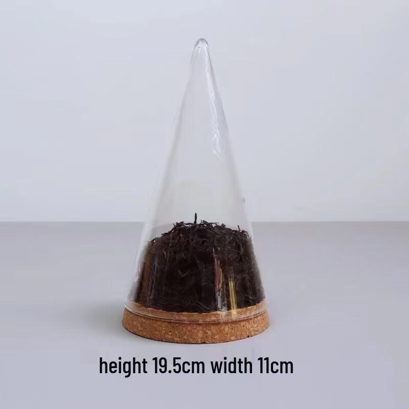 New Chinese Style Glass Tea Storage Jar 1 Count