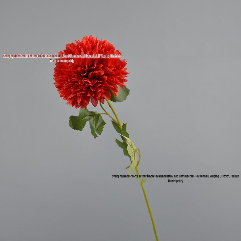 Green Onion Ball Single Stem Chrysanthemum Gift Box Bouquet and Floor Stand Accessories