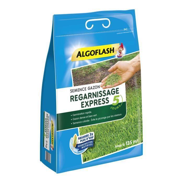 Express Grass Seeds Ricarica 5 giorni 3 kg