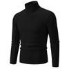 Herren Pullover Herbst/Winter 2024 Hoher Kragen Unifarben Lässig Gestrickt