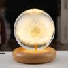 Dandelion Crystal Ball Night Light with Preserved Flower