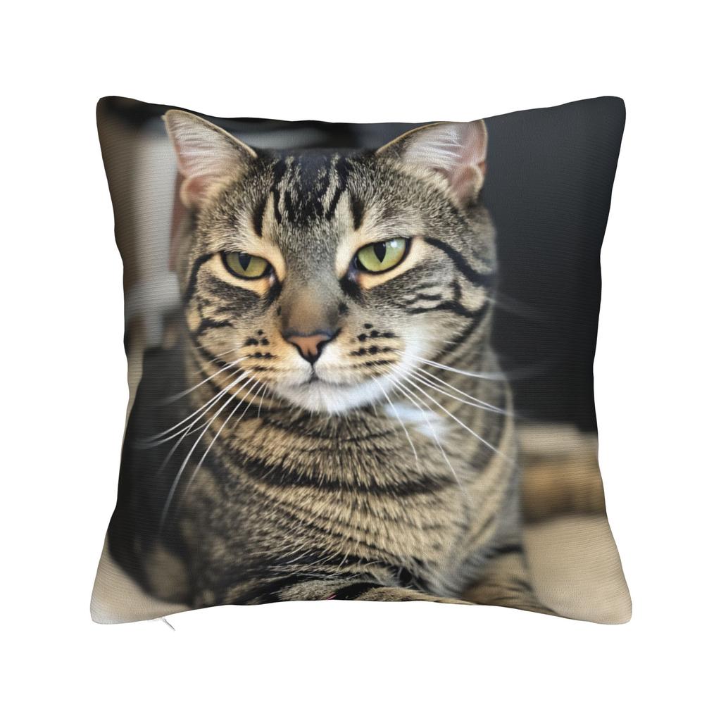 Tabby Cat Pillow Cover Print Cushion Cover Vintage Pillow Case For Sofa Bedroom Home Decor