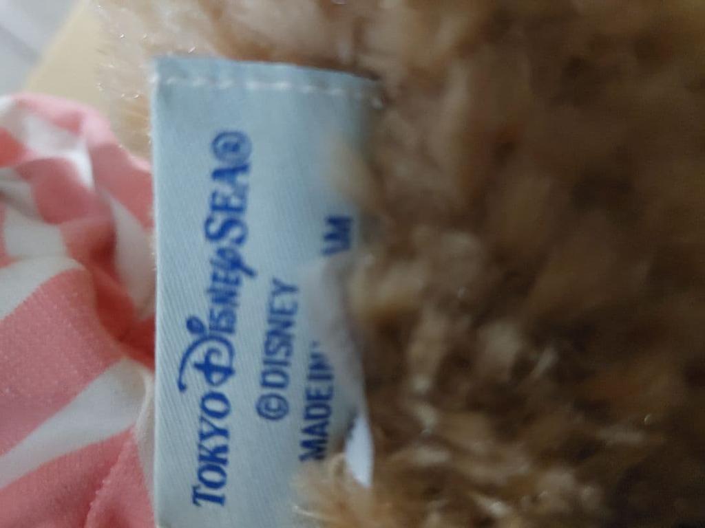 [USED] Disney Duffy plush teddy bear with outfit