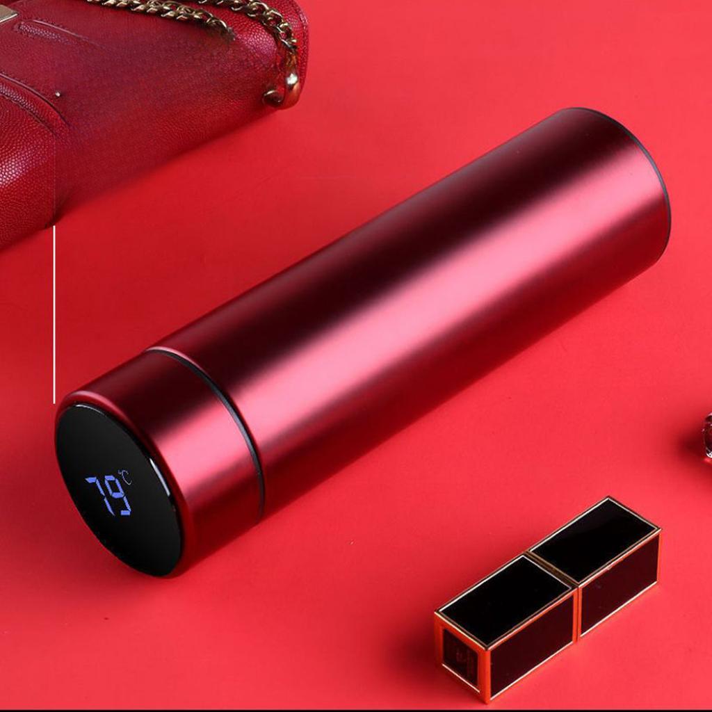 Double-layer Stainless Steel LED Temperature Display Smart Water Bottle with Accurate Readings