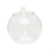 Glass Terrarium Jar Micro Landscape Vase Bottle Sealed Storage Plant Container Planter