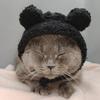 Four Seasons Pet Hat Bear Plush Hood British Short Cute Ears Cat Small Dog Funny Headgear Photo