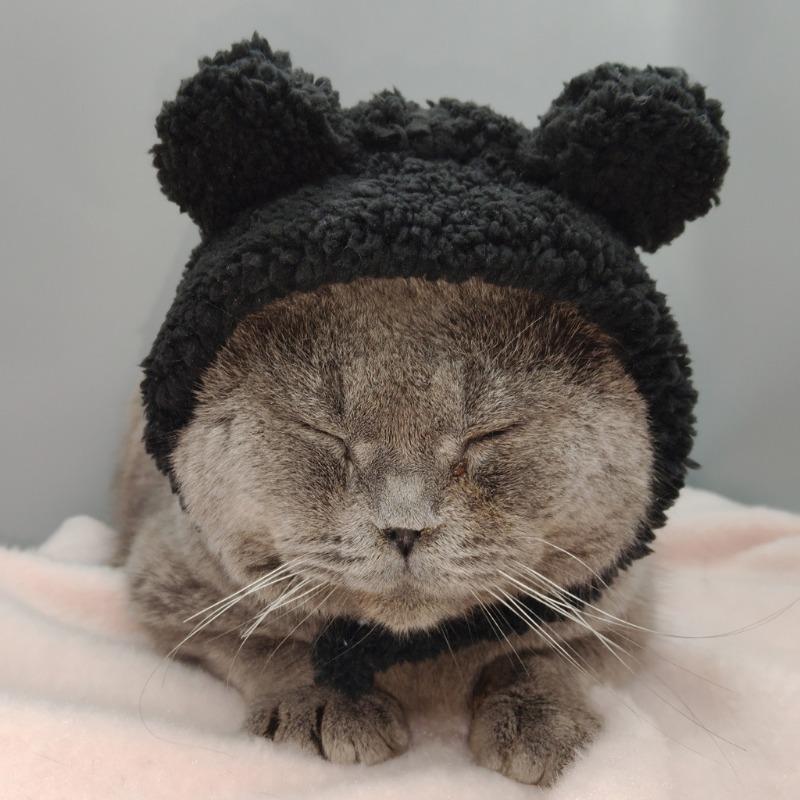 Four Seasons Pet Hat Bear Plush Hood British Short Cute Ears Cat Small Dog Funny Headgear Photo