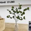 Artificial Eucalyptus Leaves for Floral Arrangements and Wedding Decorations