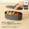 Ansio Soft Lunch Sand Easy To Dishwasher and Microwave Made In Box, 650ml, Beige, Clean, Safe, Japan, OVL-650