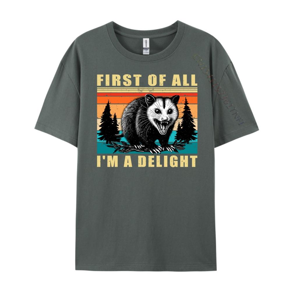 First Of All I M A Delight Angry Opossum Possum Wholesale Tshirts 100 Pcs T-Shirt Tops T Shirt Character