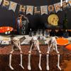 Halloween Skeleton Decorations 3 Pieces Halloween Figurine Prop Statue for Party Holiday Photo Backdrop Bedroom School Retail