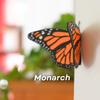 1/3/6Pcs 3D Butterfly Refrigerator Magnet DIY Home Office Kitchen Locker Fridge Realistic